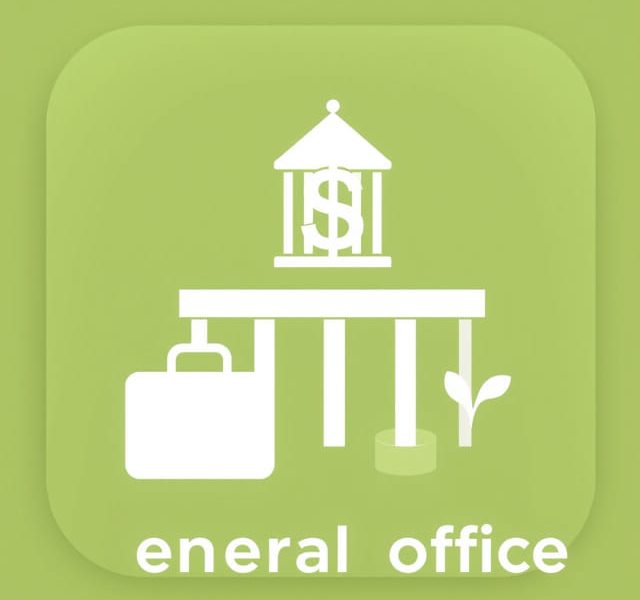 Financial Comptroller General Office