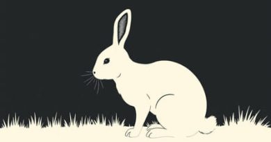 First Edition Velveteen Rabbit