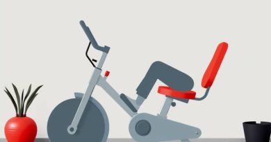 Fitness Reality Recumbent Bike