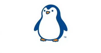 Five Below Pudgy Penguins