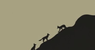 Fleet Foxes Hieronymus Bosch