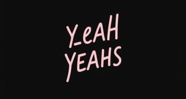 Fleez Yeah Yeah Yeahs