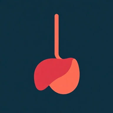 Focal Fatty Sparing Liver Treatment