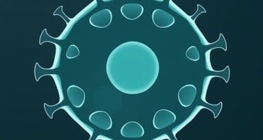 Follicular Neoplasm Hurthle Cell Type