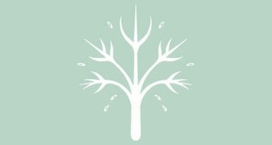 Food Sources Of Bacillus Cereus