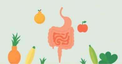 Foods That Ferment In The Gut