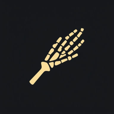 Fracture Ulnar Styloid Icd 10