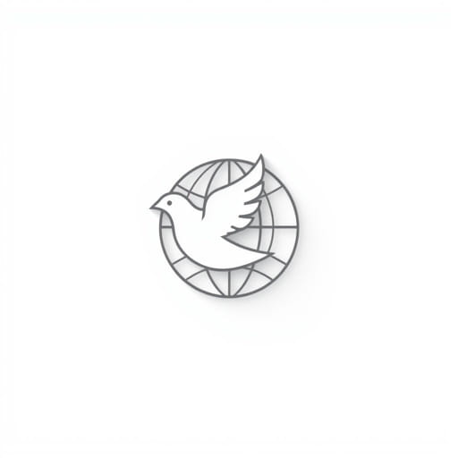 Functions Of Amnesty International