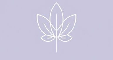 Fungsi Ubat Gigi Glister Amway