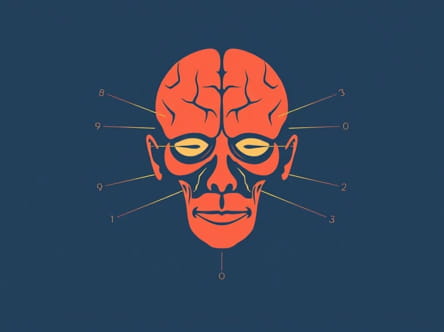 Gag Reflex Cranial Nerve 9 And 10
