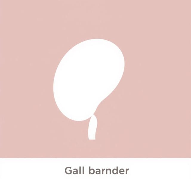 Gallbladder Peritoneal Or Retroperitoneal