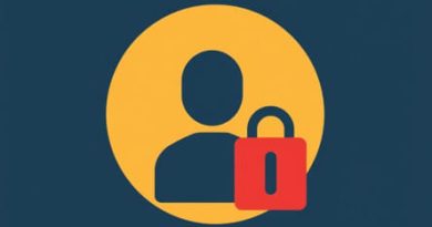 Get It Right Privatize Executions Summary