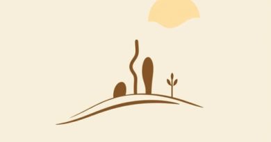 Gravitate Gilbert And Queen Creek