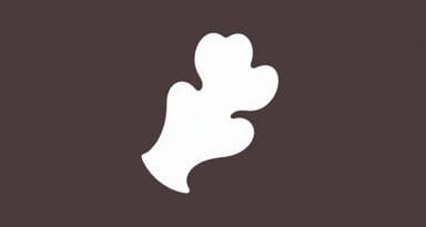 How Much Is A Ginger Shot