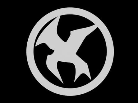 Hunger Games Dr Gaul