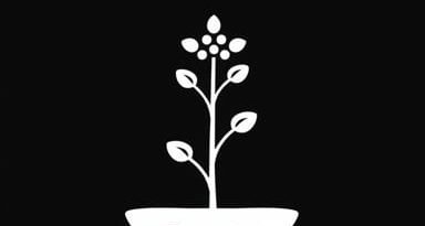 Hydrocotyle Asiatica Q Benefits