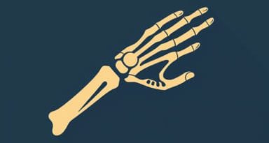 Jess Fixator For Distal Radius Fracture