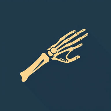 Jess Fixator For Distal Radius Fracture