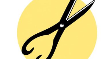 Kellys Hemostat Forceps Straight