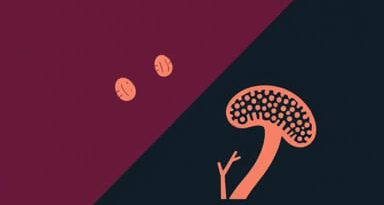 Keratin Granulation Vs Fungus