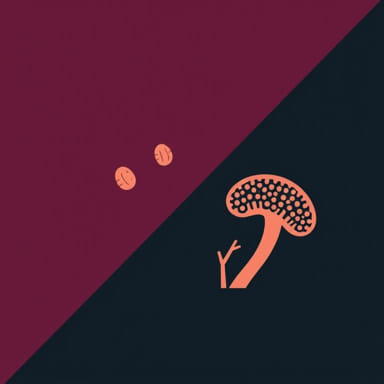 Keratin Granulation Vs Fungus