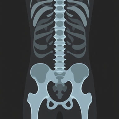 Lumbago X Ray Findings