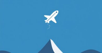 Meaning Of Flew Away