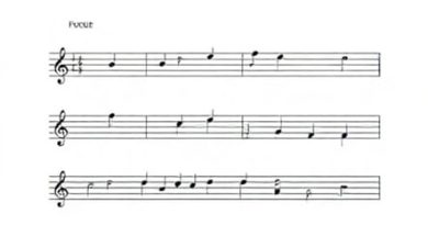 Netherlands Bach Society Art Of Fugue