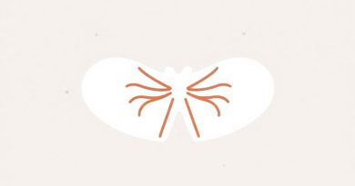 Normal Osmotic Fragility Test