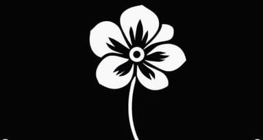 Organdy Flower Jacquard Drawstring Op