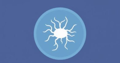 Paratyphoid Fever Is Caused By An Organism From Which Genus