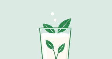 Plant Based Milk That Froths