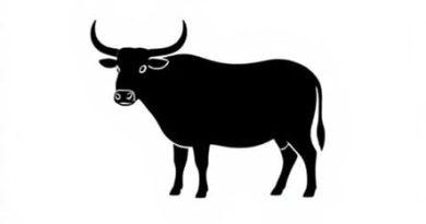 Plural Form Of Ox