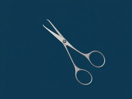 Rochester Pean Hemostat Forceps