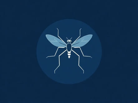 Role Of Antimalarials In Dengue Fever