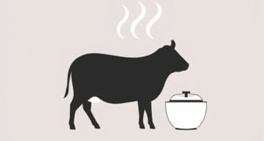 Smelling Of Fermentation Or Staleness