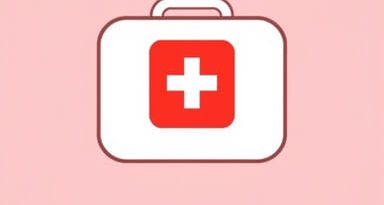 The First Aid Kit