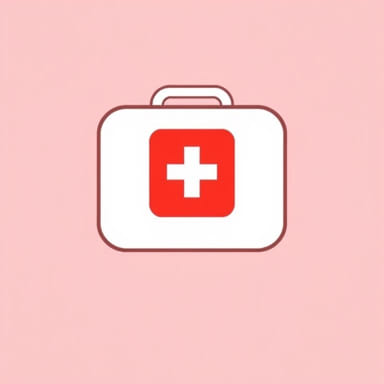 The First Aid Kit