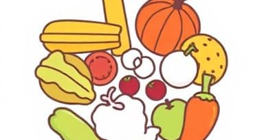 The Foods That Contain Protein