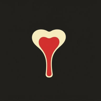 The Function Of Bone Marrow