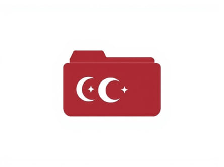 The Tashkent Files Ott