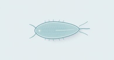 Unique Features Of Paramecium