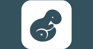 Usg For Fetal Well Being