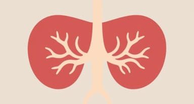 Ventral Pancreatic Bud Forms