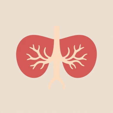 Ventral Pancreatic Bud Forms