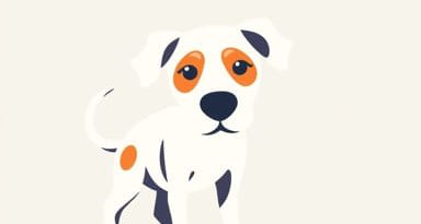 Vet Bills Are Outrageous