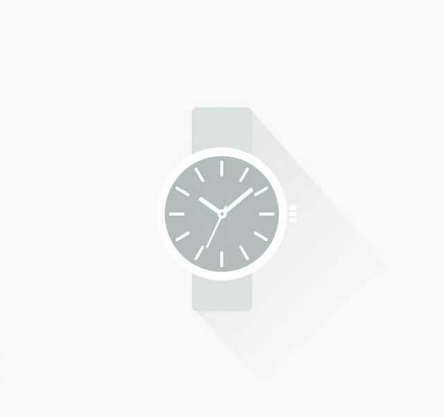 Watch Spanglish Free Online