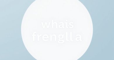 What Is Franglais?