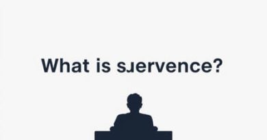 What Is Subservience The Movie About