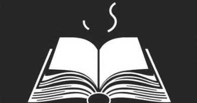 What Is The Book Quicksilver About